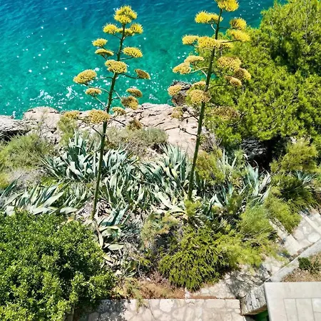 Apartman Mirna
